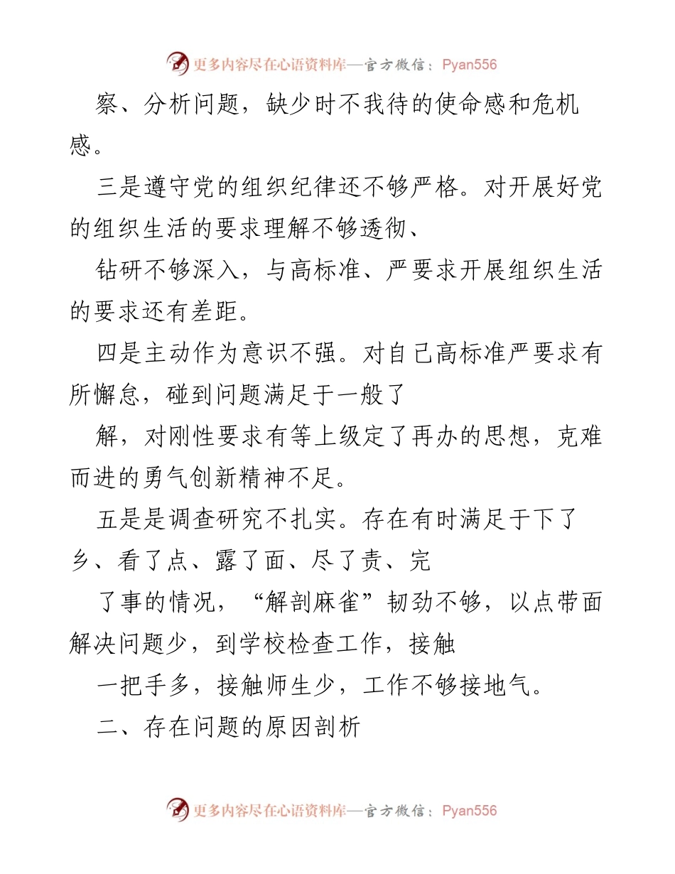 [工作总结] 县民主生活会 - 深刻剖析个人问题与整改措施.docx_第2页
