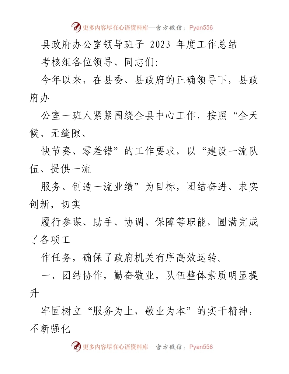 [工作总结] 县政府办公室 - 2023年度工作总结与成效分析.docx_第1页