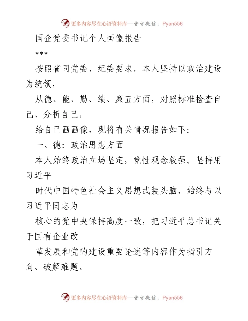 [工作总结] 国企党委书记个人画像 - 国企党委书记个人画像与能力建设总结报告.docx_第1页