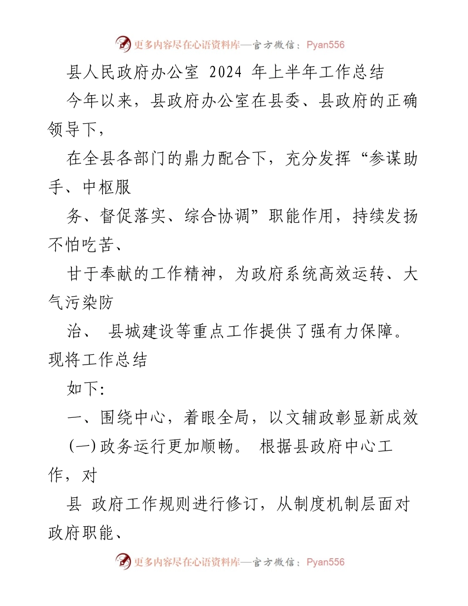 [工作总结] 县人民政府办公室 - 2024年上半年工作总结与成效分析.docx_第1页