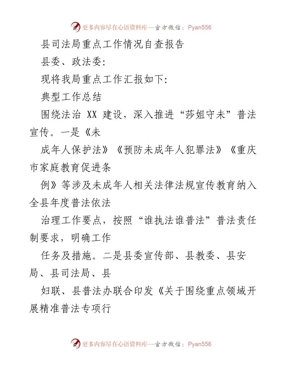 [工作总结] 司法局工作汇报 - 县司法局重点工作情况自查报告.docx_第1页