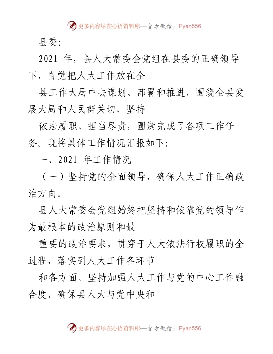 [工作总结] 县人大常委会 - 2021年度县人大工作情况总结报告.docx_第1页