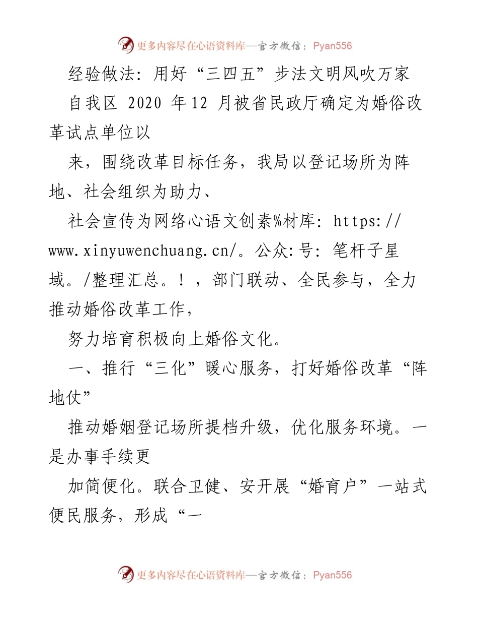 [工作总结] 婚俗改革试点单位 - 推动婚俗改革的实践与成效.docx_第1页