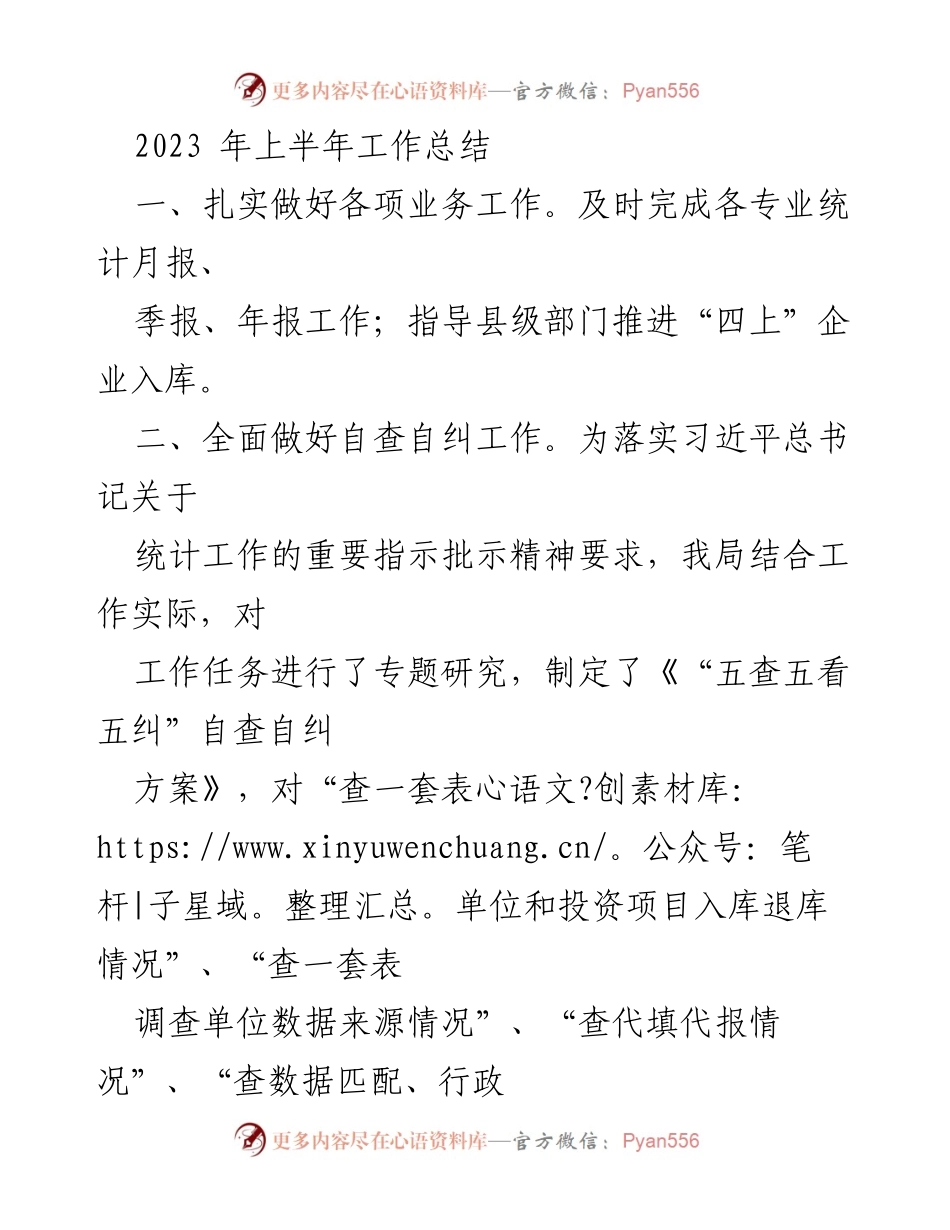 [工作总结] 半年工作回顾 - 2023年上半年统计工作总结与自查自纠报告.docx_第1页
