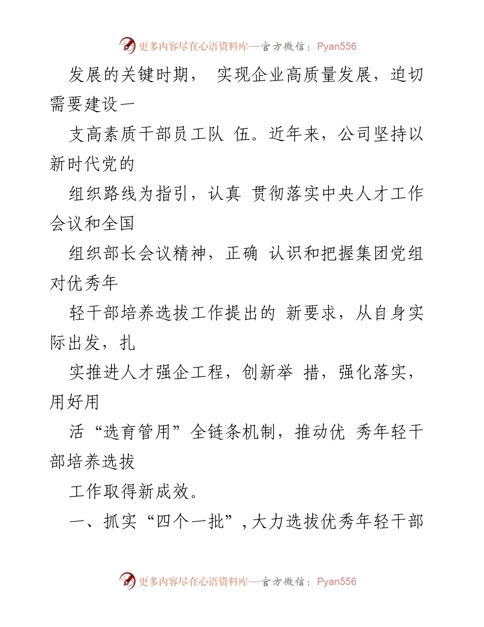 [工作总结] 国有企业 - 加强青年干部培养工作的现状与成效报告.docx_第2页