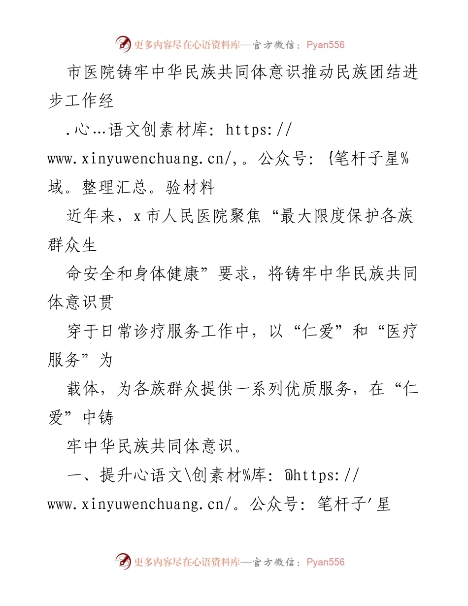 [工作总结] 医院工作 - 市医院推动民族团结进步的医疗服务经验总结.docx_第1页