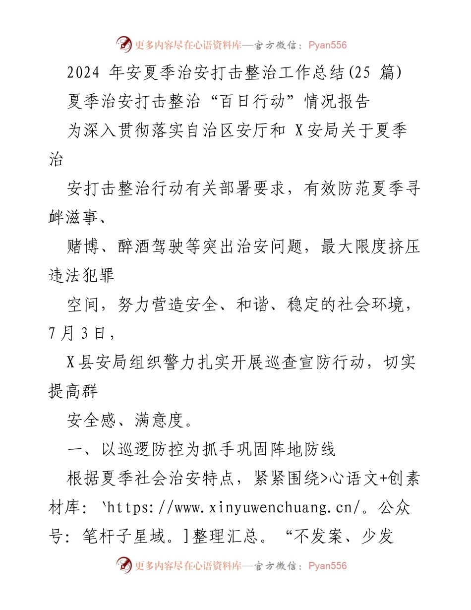 [工作总结] 夏季治安打击整治 - 2024年夏季治安打击整治工作总结与行动报告.docx_第1页