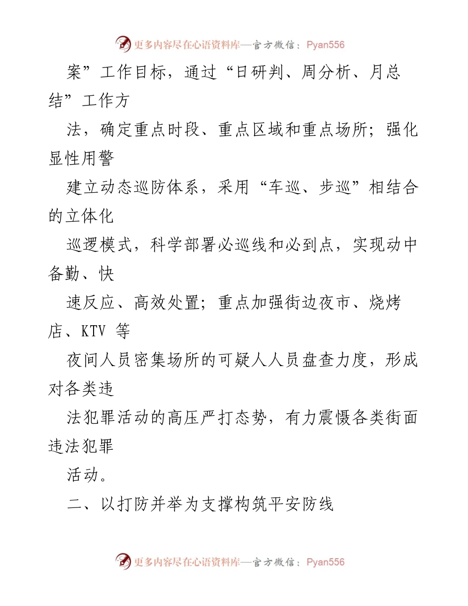 [工作总结] 夏季治安打击整治 - 2024年夏季治安打击整治工作总结与行动报告.docx_第2页