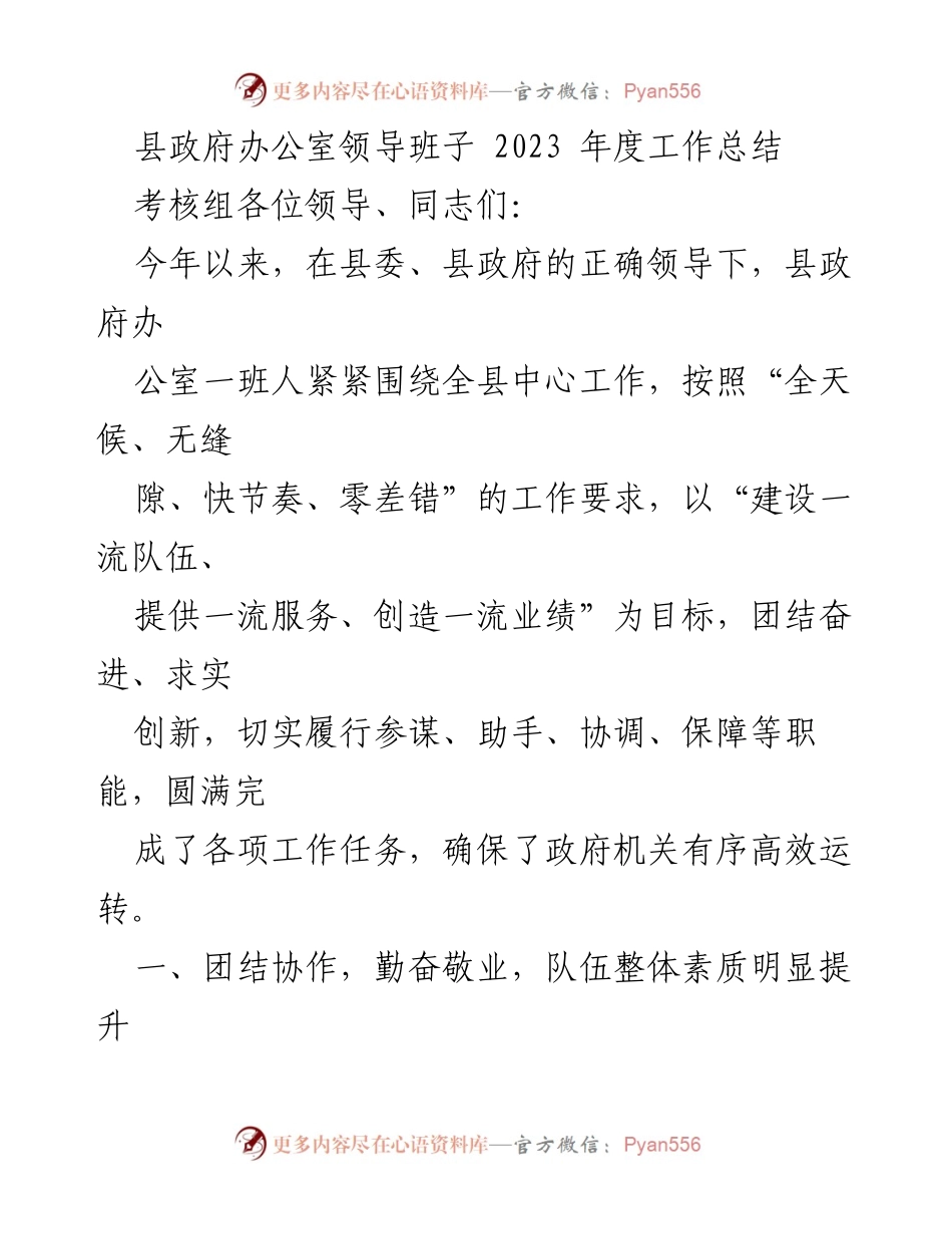 [工作总结] 县政府办公室 - 2023年度工作总结报告.docx_第1页