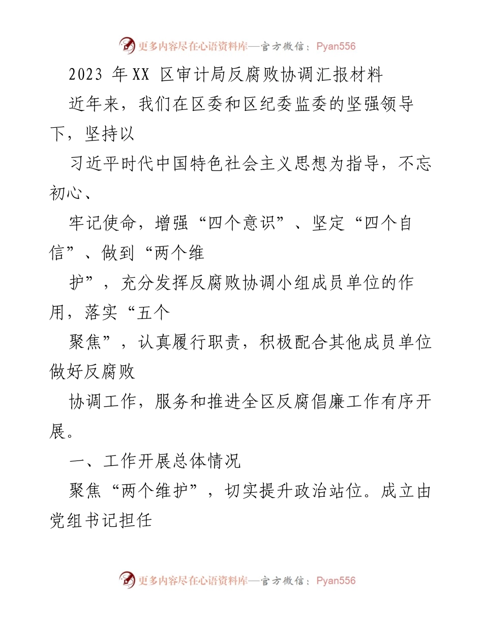 [工作总结] 反腐败协调工作 - 2023年XX区审计局反腐败协调工作总结报告.docx_第1页