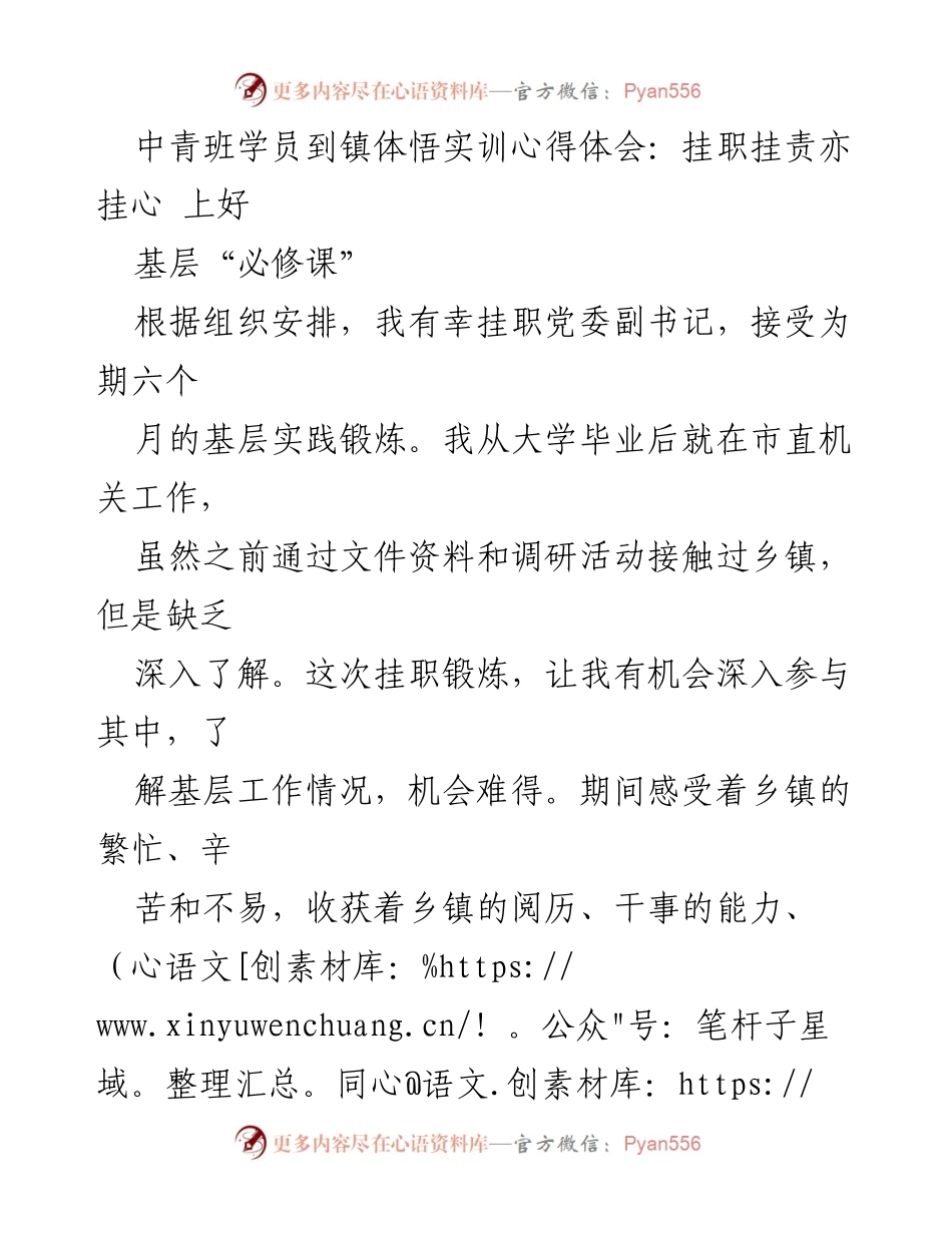 [工作总结] 基层实践 - 探索乡镇工作的重要性与干部艰辛.docx_第1页