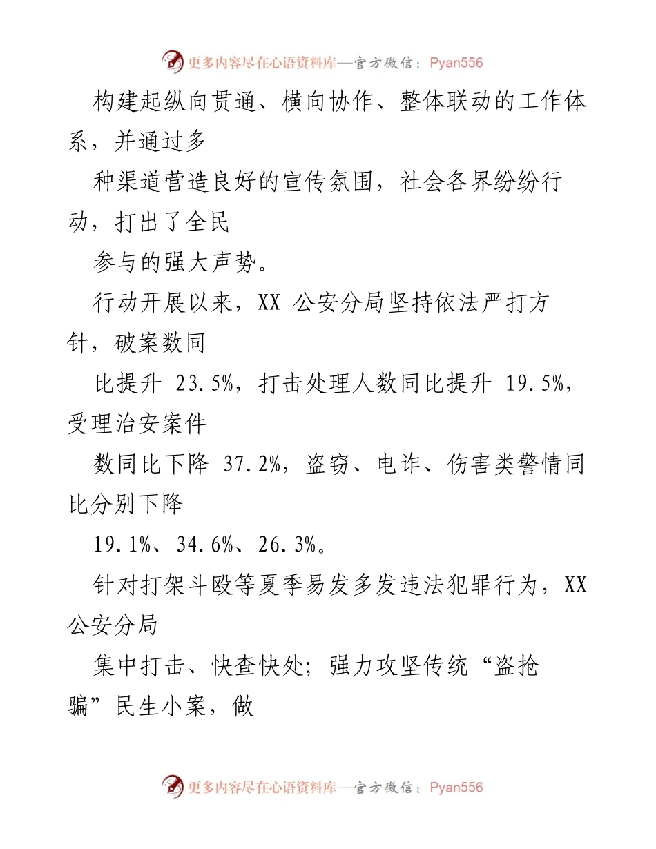 [工作总结] 夏季治安行动 - XX公安分局夏季治安打击整治“百日行动”工作总结.docx_第2页