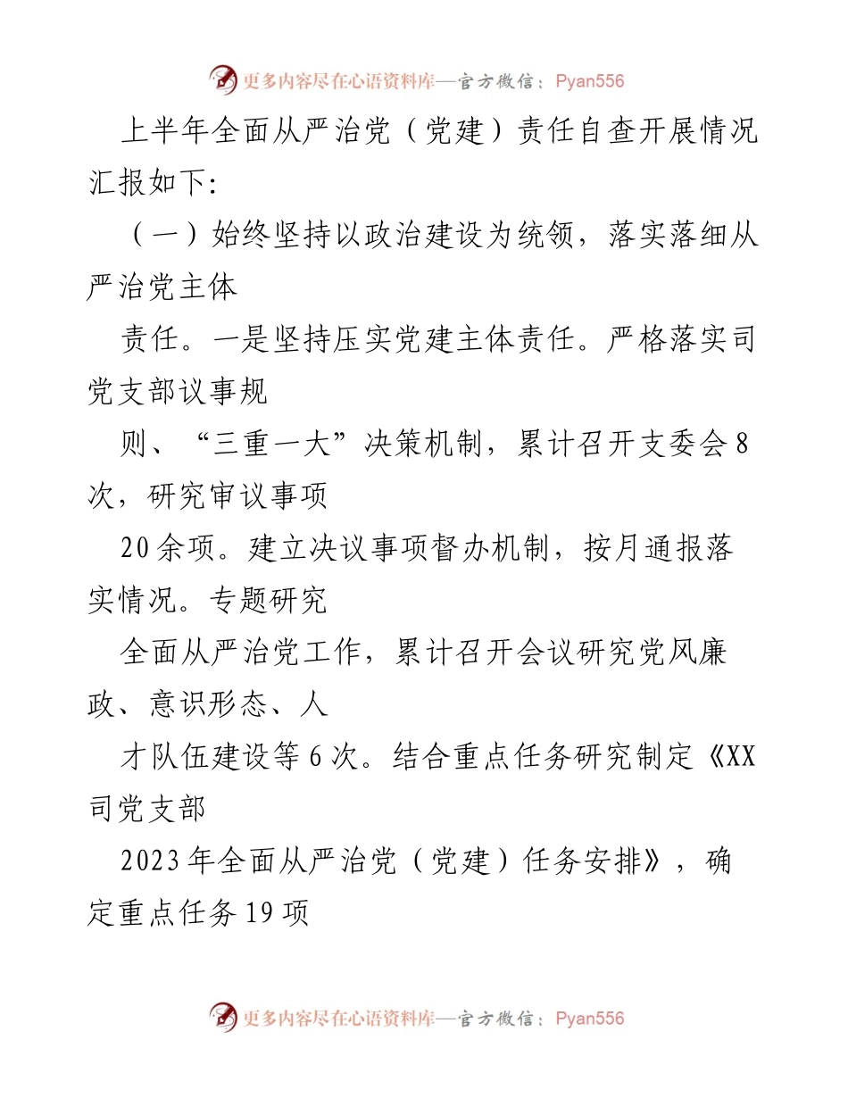 [工作总结] 国企党支部 - 2023年全面从严治党责任落实年中自查报告_2.docx_第2页