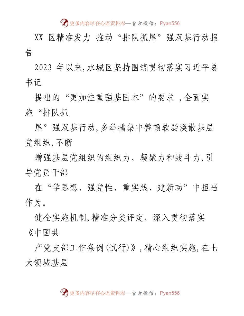 [工作总结] 基层党建 - 水城区“排队抓尾”强双基行动实施总结报告.docx_第1页
