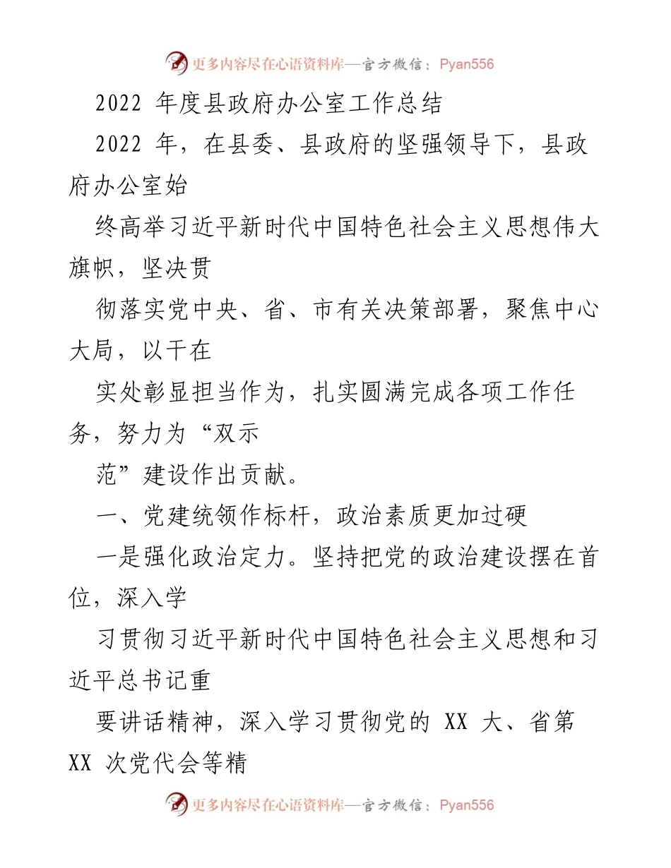 [工作总结] 县政府办公室 - 2022年度工作总结与成效分析.docx_第1页