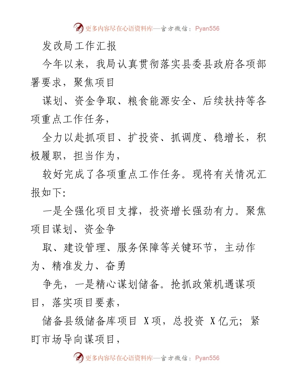 [工作总结] 发改局工作汇报 - 2023年度发改局重点工作进展与成效总结.docx_第1页