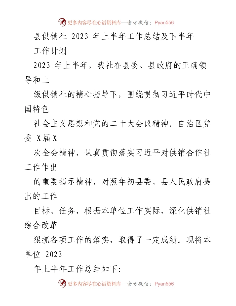 [工作总结] 县供销社 - 2023年上半年工作总结与下半年工作计划.docx_第1页