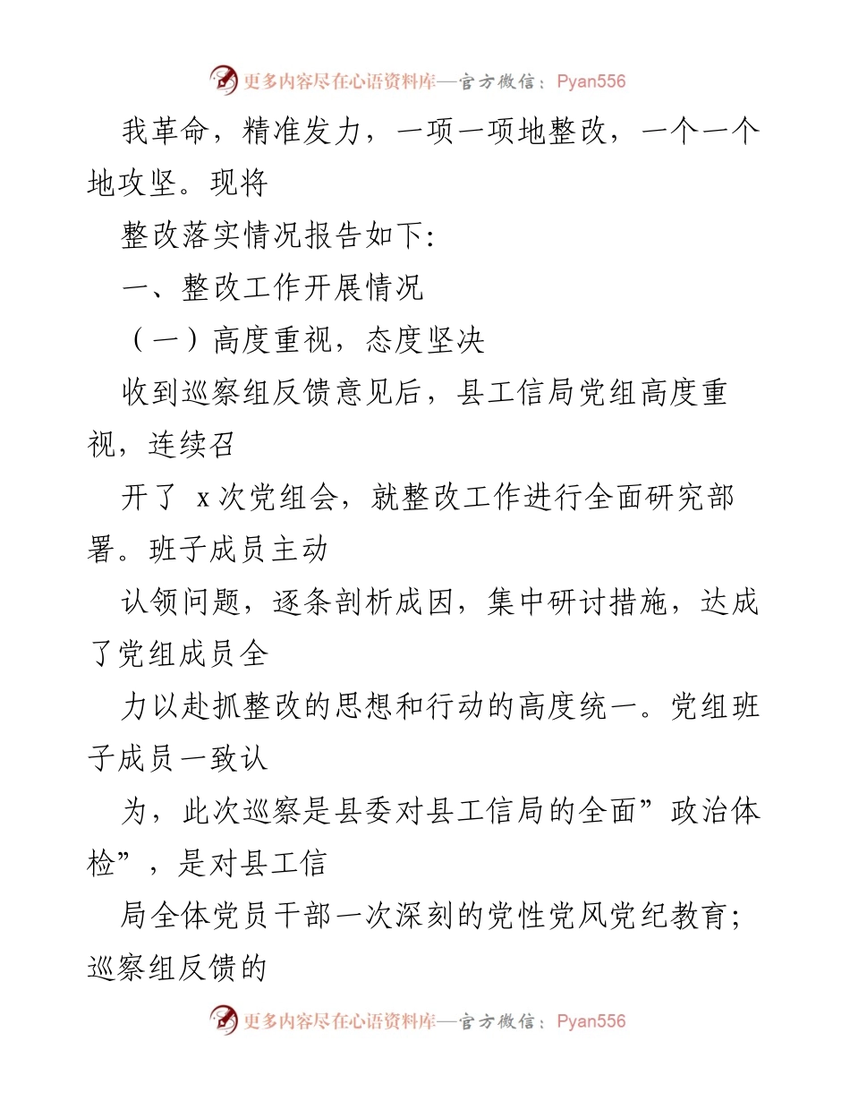 [工作总结] 县委巡察整改 - 县工信局党组巡察反馈意见整改情况总结报告.docx_第2页