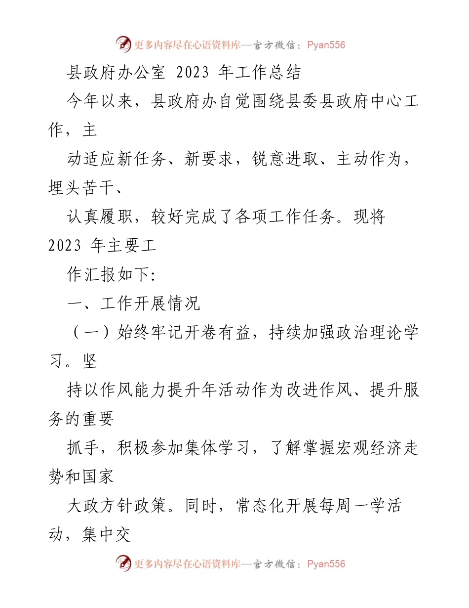 [工作总结] 县政府办公室 - 2023年工作总结与成效分析.docx_第1页