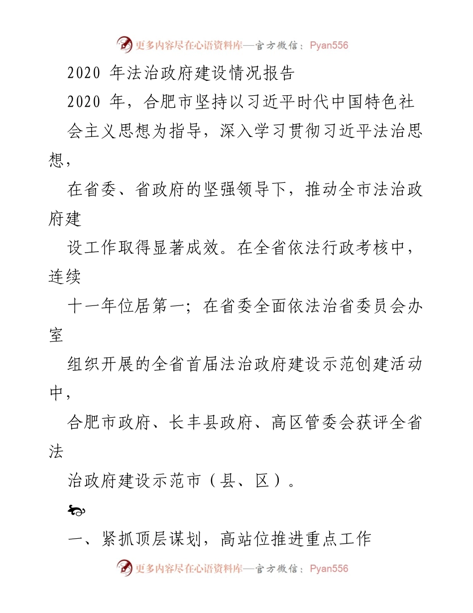 [工作总结] 合肥市法治政府建设 - 2020年法治政府建设情况总结报告.docx_第1页