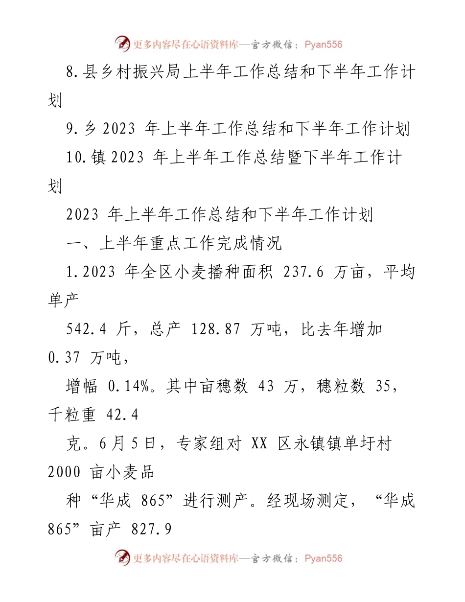 [工作总结] 半年总结会议 - 2023年上半年工作总结与下半年工作计划汇编.docx_第2页