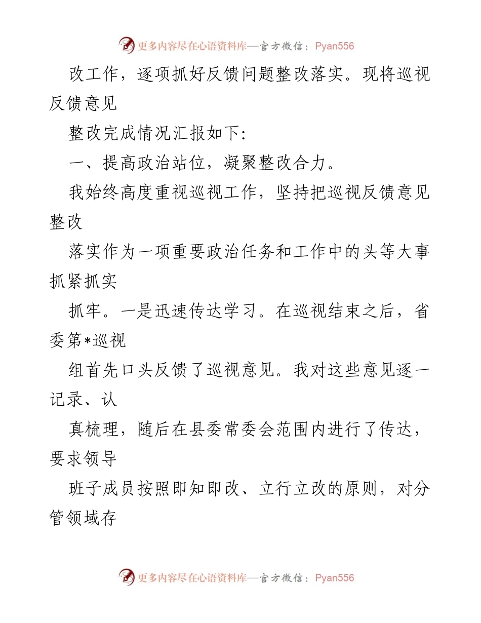 [工作总结] 县委巡视整改 - 县委书记巡视整改工作落实情况报告.docx_第2页
