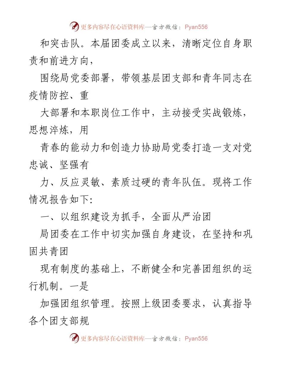 [工作总结] 团委换届大会 - 市局团委换届工作报告.docx_第2页