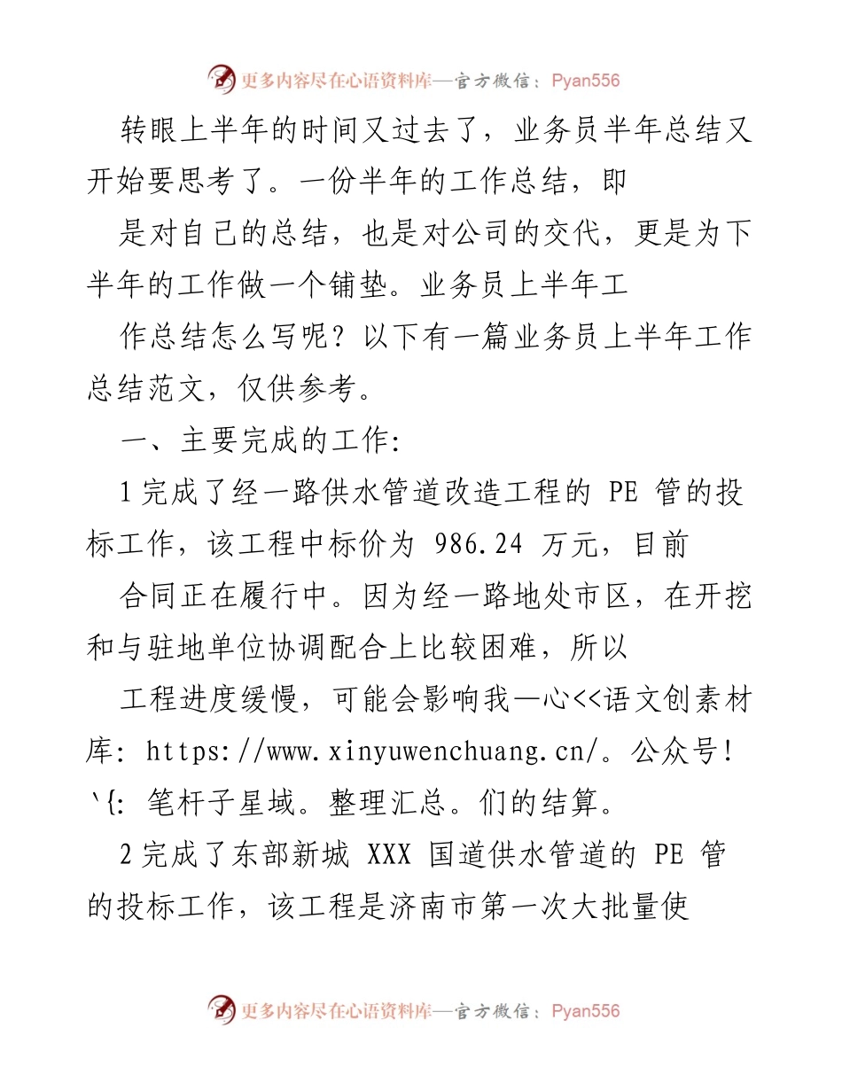[工作总结] 半年总结 - 业务员上半年工作总结与反思.docx_第1页