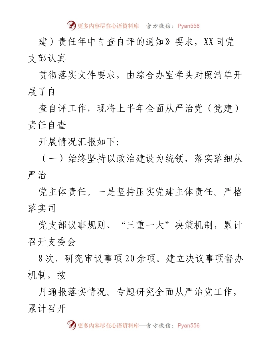 [工作总结] 国企党支部 - 2023年全面从严治党责任落实年中自查报告.docx_第2页