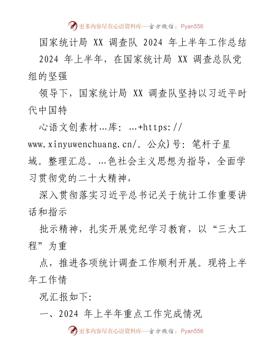[工作总结] 国家统计局 XX 调查队 - 2024 年上半年工作总结报告.docx_第1页