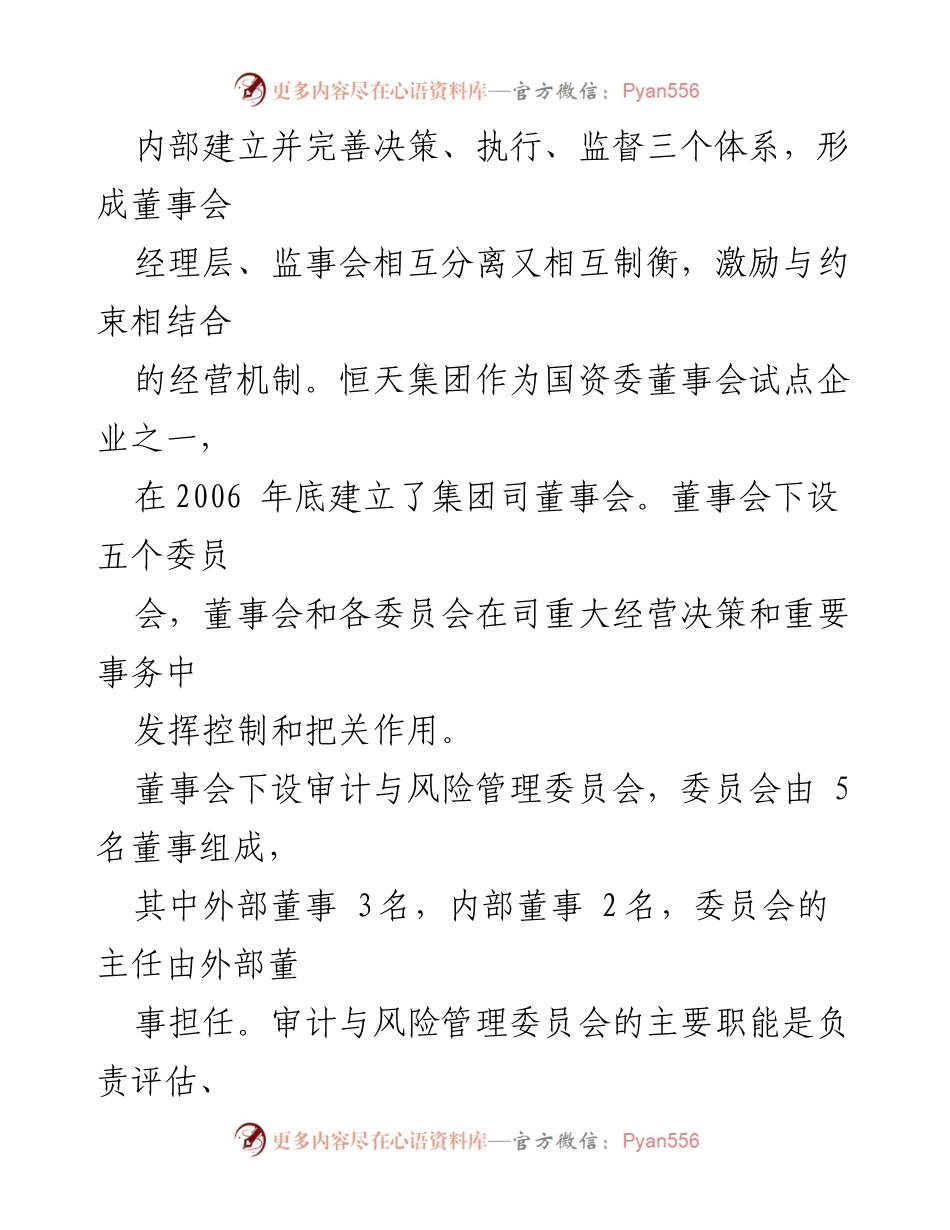 [工作总结] 国有企业 - 恒天集团内部审计工作总结与改革探索.docx_第2页