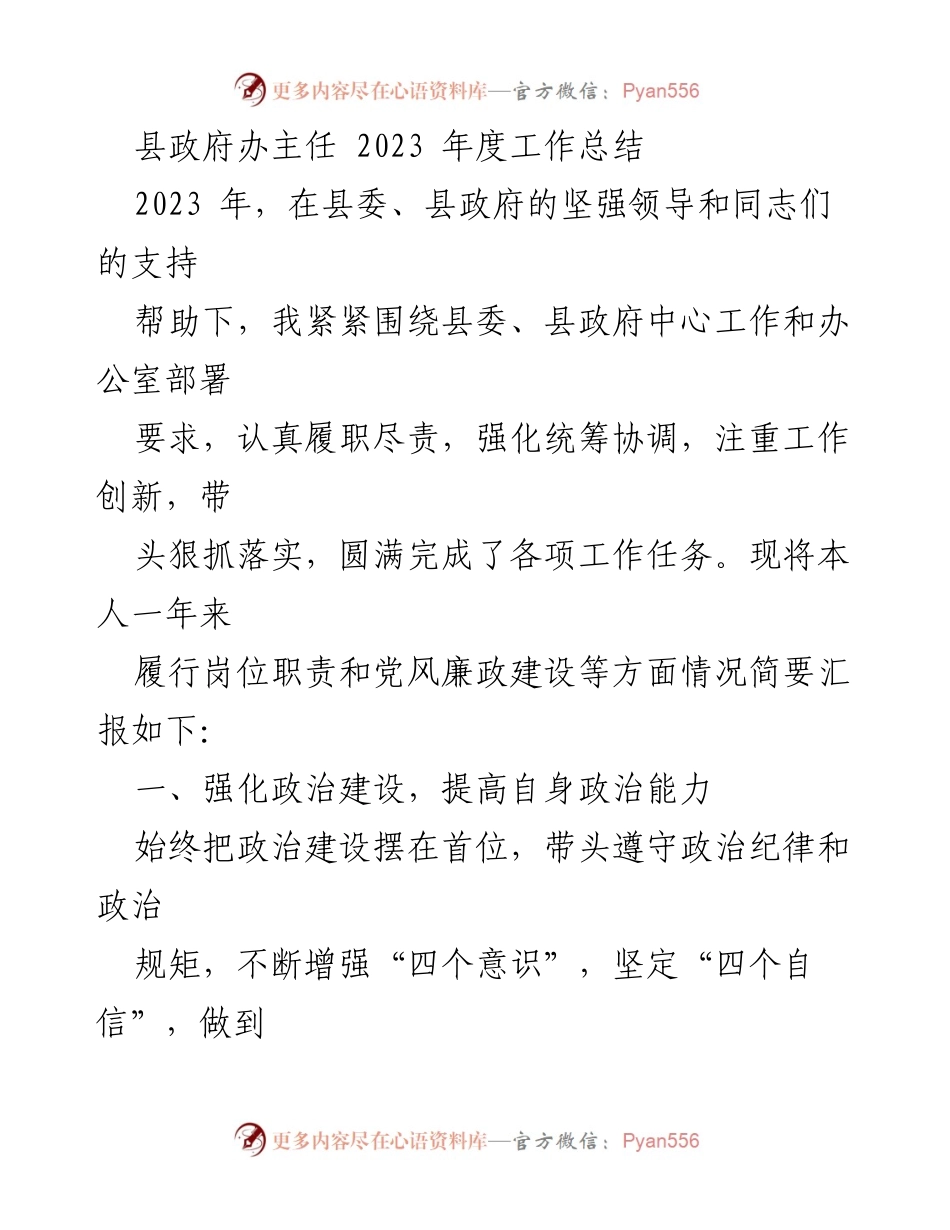 [工作总结] 县政府 - 2023年度县政府办主任工作总结.docx_第1页