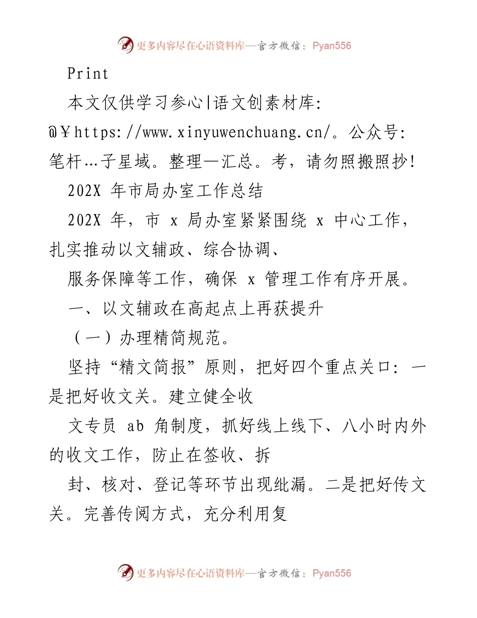 [工作总结] 年度工作回顾 - 202X年市局办室工作总结.docx_第1页