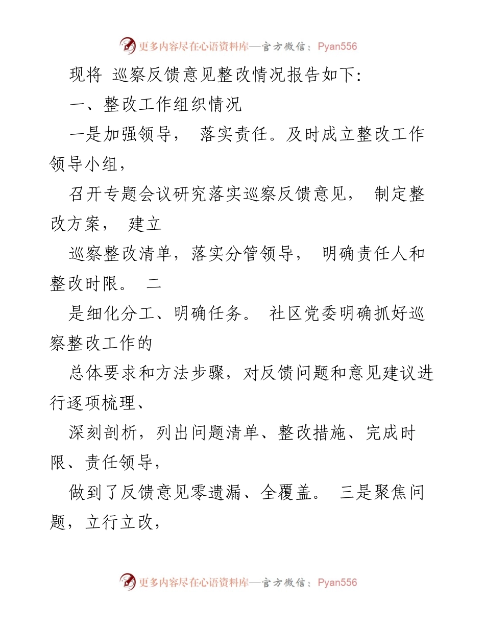 [工作总结] 巡察整改 - 通巷社区党委巡察反馈意见整改落实报告.docx_第2页