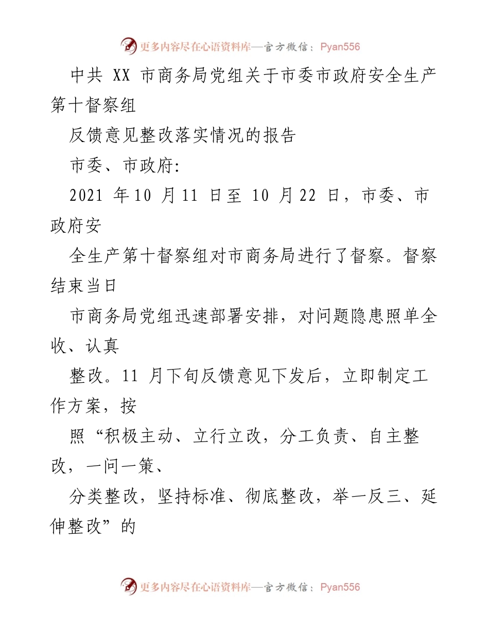 [工作总结] 市商务局 - 安全生产督察整改落实情况报告.docx_第1页