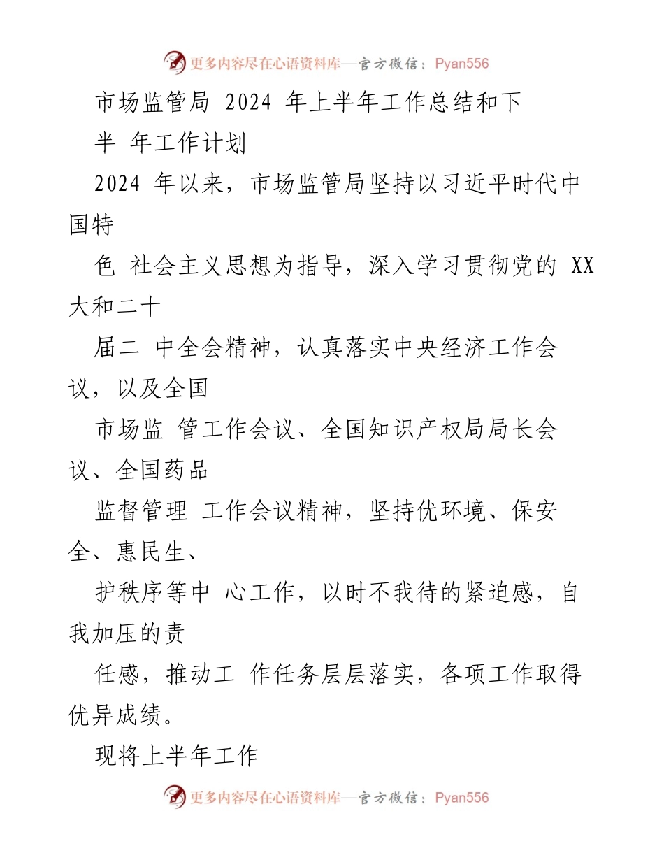 [工作总结] 市场监管局 - 2024年上半年工作总结及下半年工作计划_1.docx_第1页