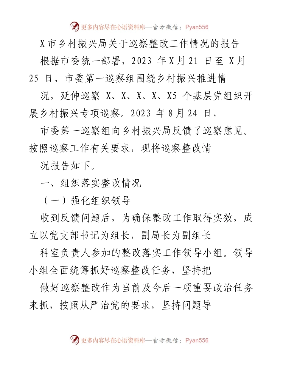 [工作总结] 巡察整改 - X市乡村振兴局巡察整改工作情况报告.docx_第1页