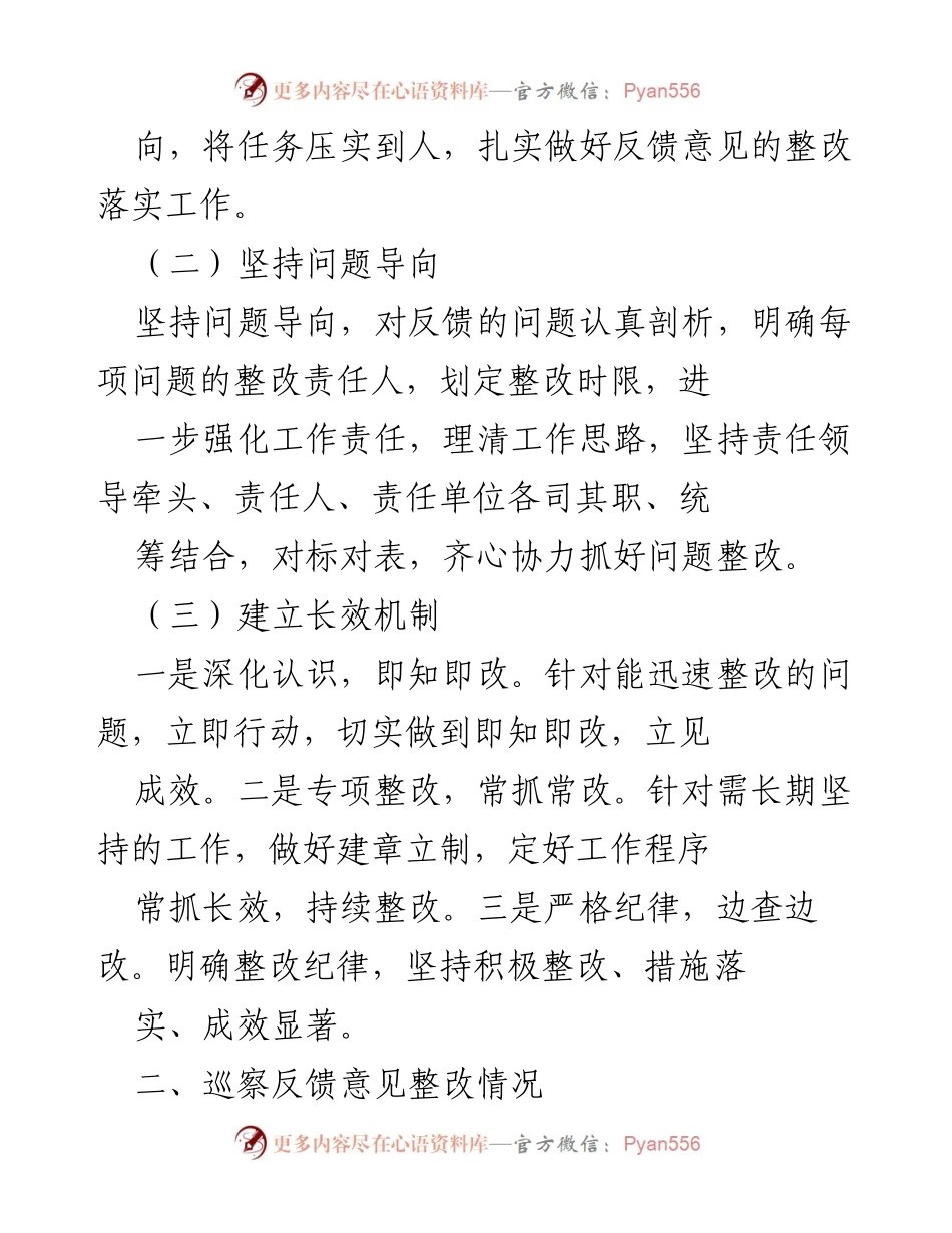 [工作总结] 巡察整改 - X市乡村振兴局巡察整改工作情况报告.docx_第2页