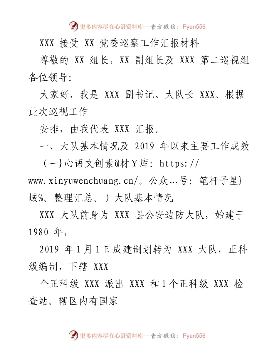 [工作总结] 巡察工作 - XXX 大队巡察工作汇报及主要成效总结.docx_第1页