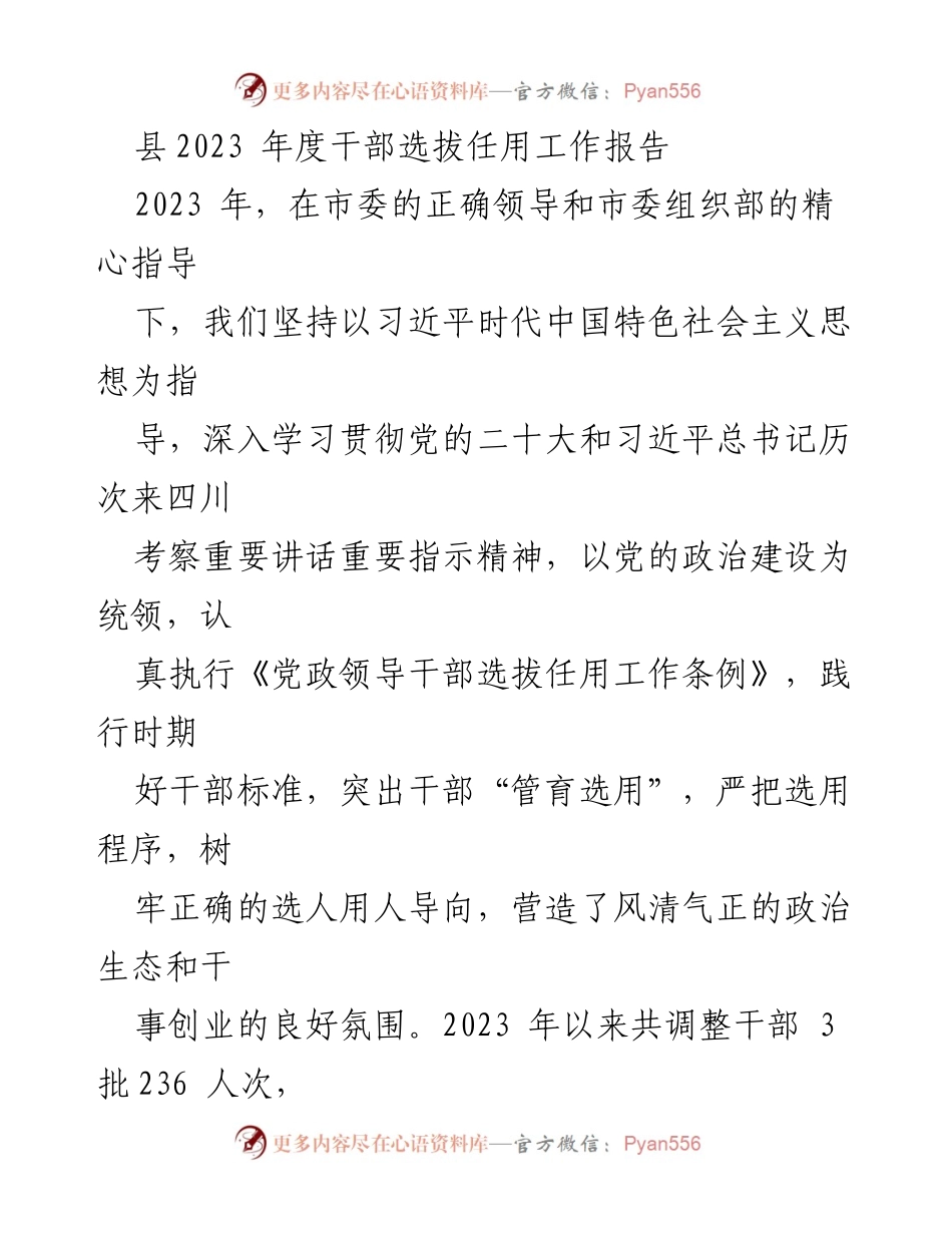 [工作总结] 干部选拔任用 - 2023年度干部选拔任用工作总结报告.docx_第1页
