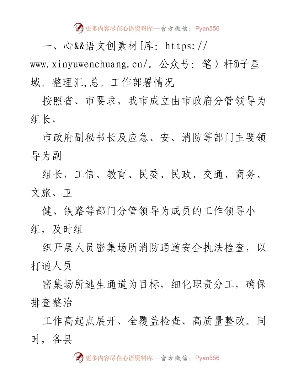 [工作总结] 安全生产 - X市人员密集场所逃生通道专项排查整治行动工作总结.docx_第2页