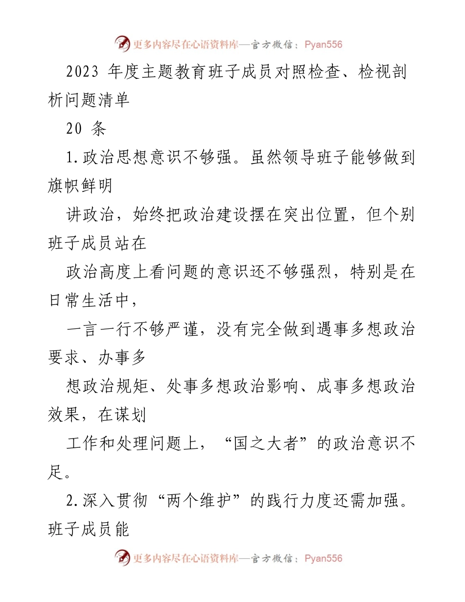 [工作总结] 年度主题教育 - 2023年度班子成员对照检查与问题分析报告.docx_第1页