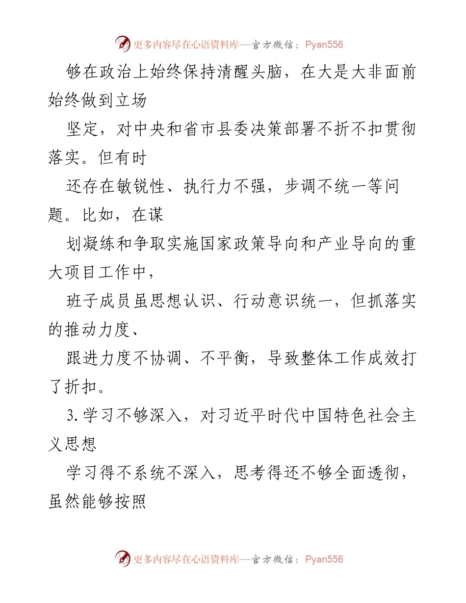 [工作总结] 年度主题教育 - 2023年度班子成员对照检查与问题分析报告.docx_第2页