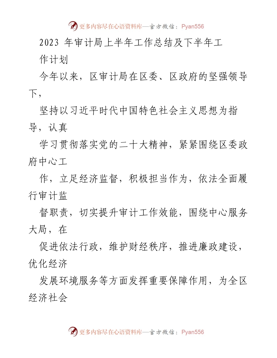 [工作总结] 审计局 - 2023年上半年工作总结及下半年工作计划_2.docx_第1页