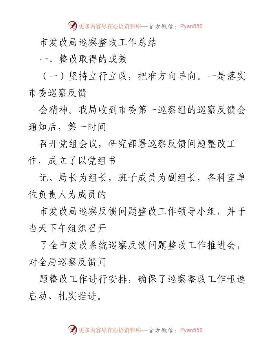 [工作总结] 市发改局 - 巡察整改工作成效与措施总结.docx_第1页