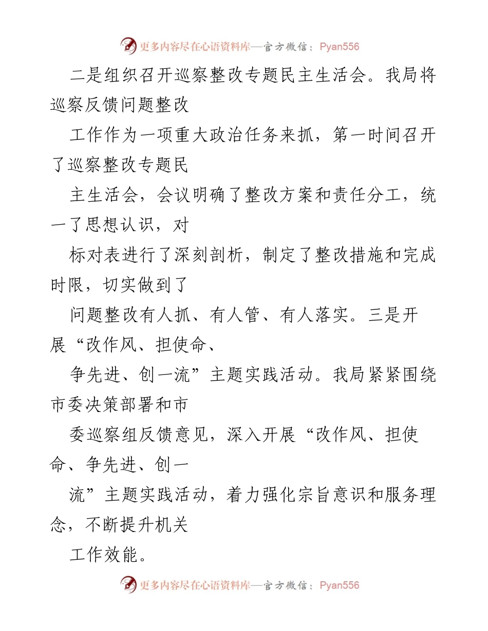 [工作总结] 市发改局 - 巡察整改工作成效与措施总结.docx_第2页