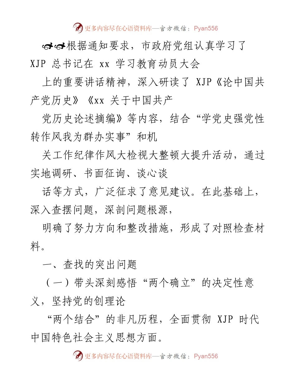 [工作总结] 市政府党组学习活动 - 深入学习党史，查摆问题，推动整改措施.docx_第1页