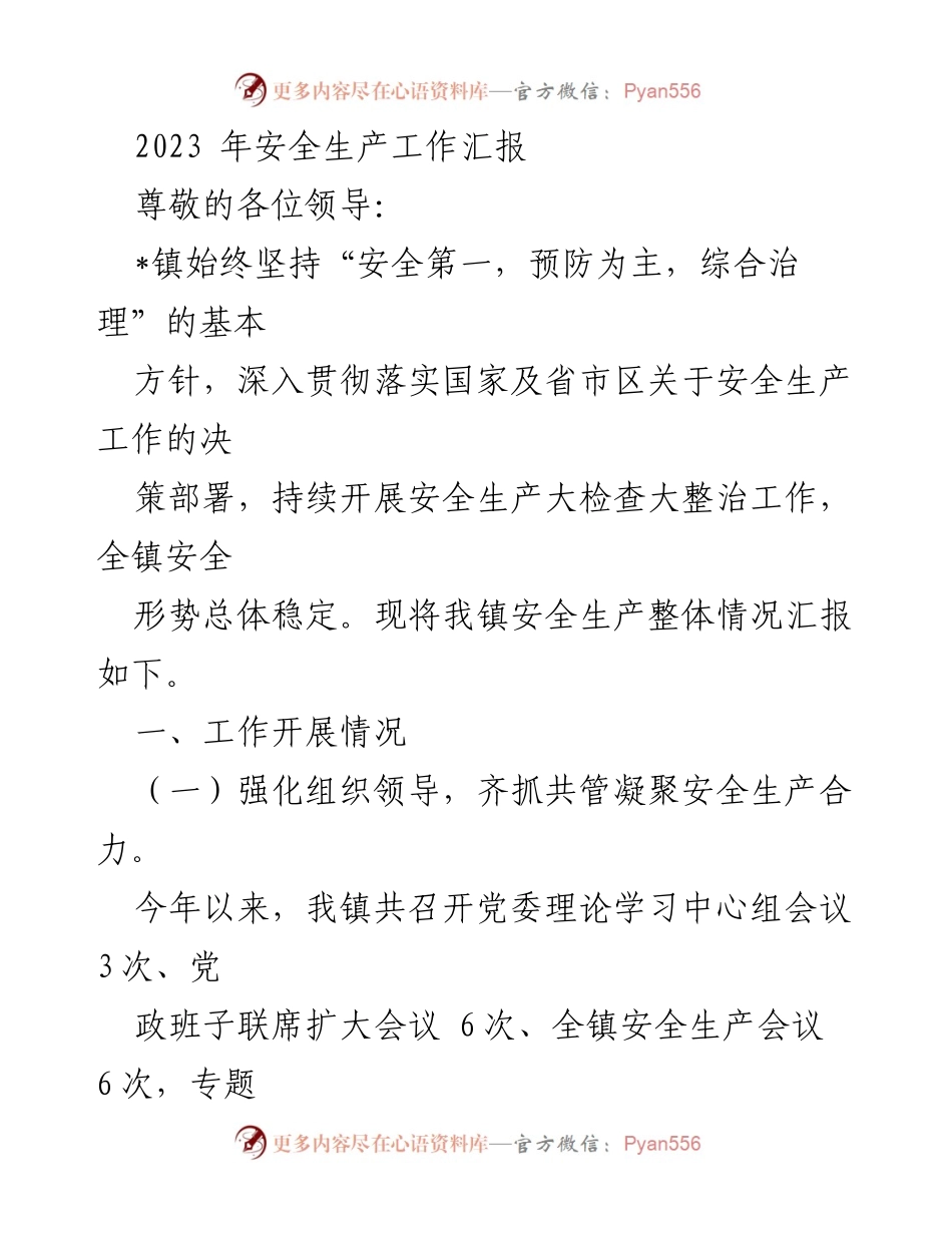 [工作总结] 安全生产工作 - 2023年安全生产工作汇报.docx_第1页