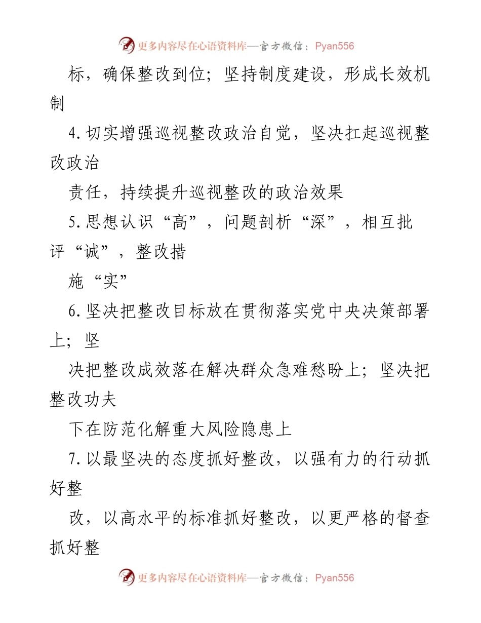[工作总结] 巡视整改 - 巡视整改工作总结与提纲.docx_第2页