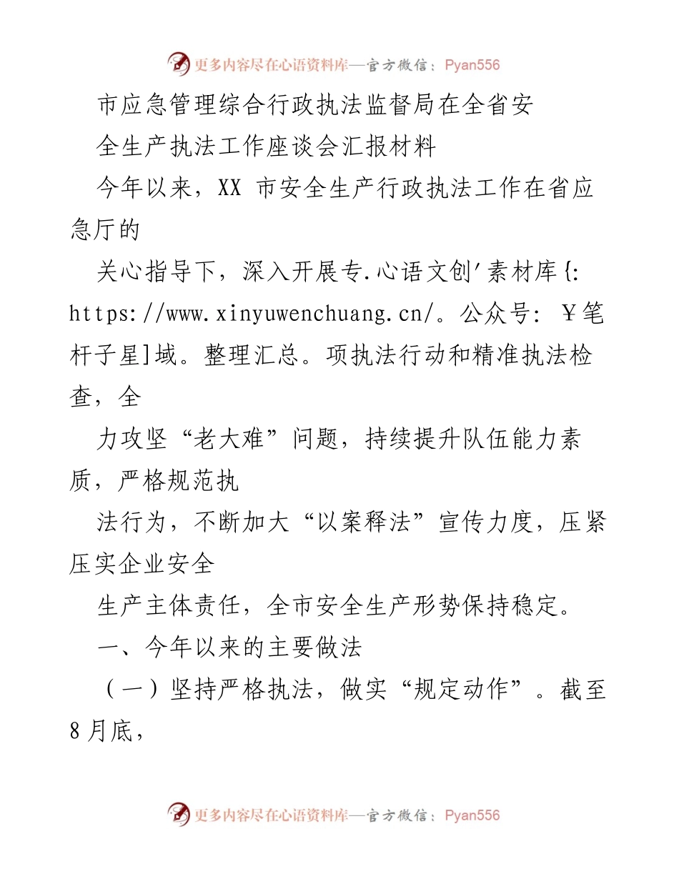 [工作总结] 安全生产执法工作座谈会 - XX市安全生产执法工作成效与措施总结.docx_第1页